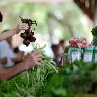 Comércio de produtos na Feira Ecológica do Menino Deus, que há mais de 17 anos, comercializa produtos orgânicos, e uma das primeiras feiras orgânicas de Porto Alegre em que seus produtores tiveram o certificado de produto orgânico para os seus produtos.Indexador: Diego Vara<!-- NICAID(11342439) -->
