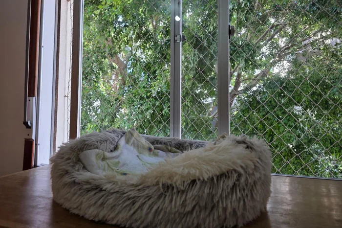 Denzel Valiente / Agencia RBS