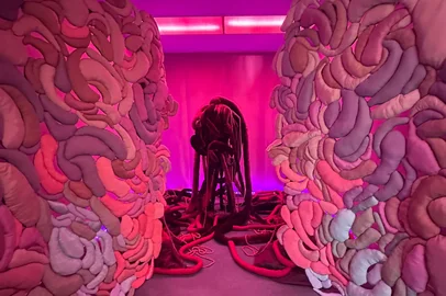 Mônica Lóss / Arquivo Pessoal Mônica Lóss. Integra o "Hospital of Emotions", uma exposição imersiva que ocupa um hospital abandonado no centro de Los Angeles.<!-- NICAID(16307194) -->