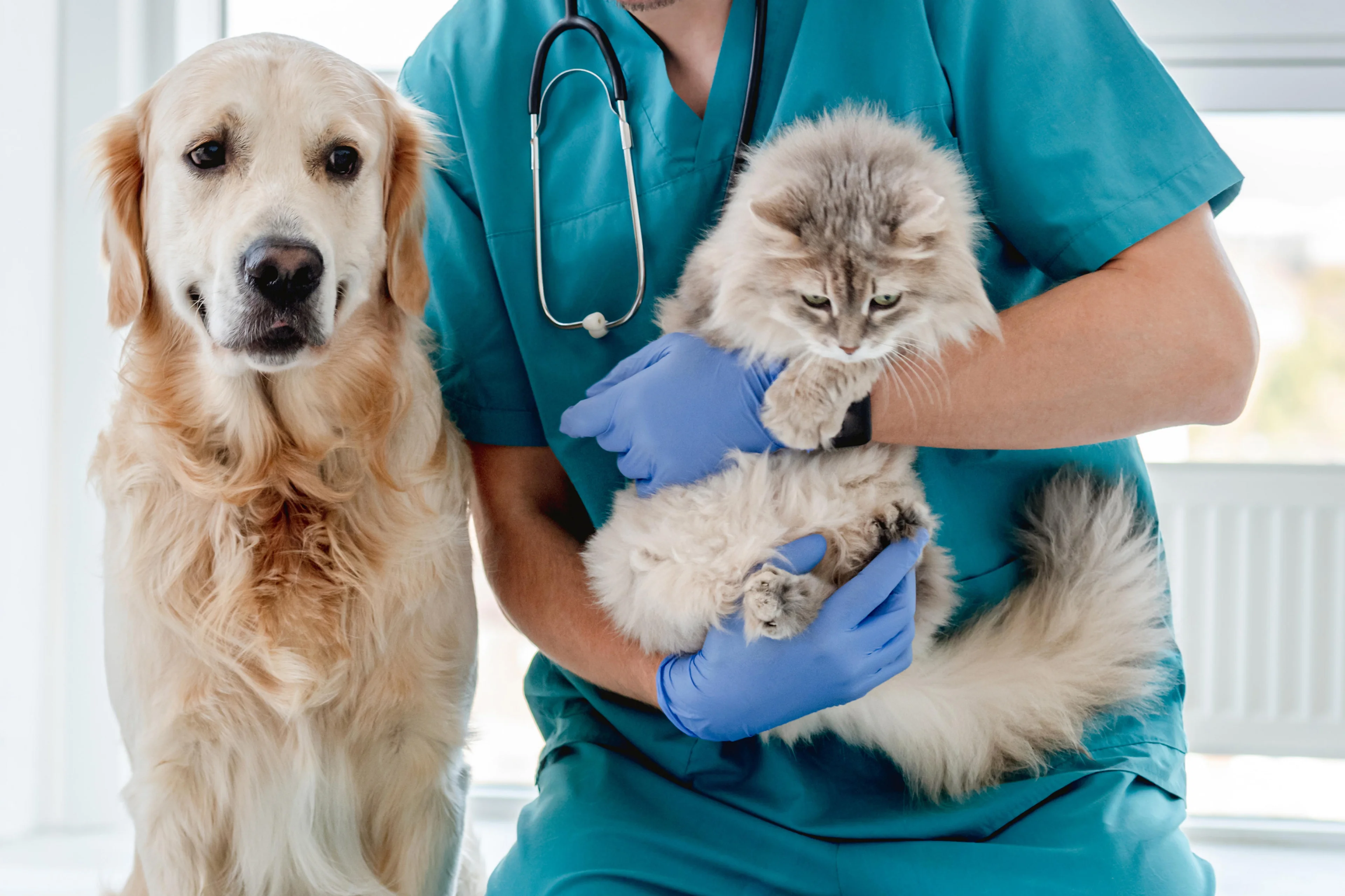 tan4ikk / stock.adobe.com/413757453