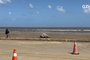 Elefante-marinho é direcionado para local seguro na Praia do CassinoFábio Gomes / Arquivo pessoal<!-- NICAID(15658315) -->
