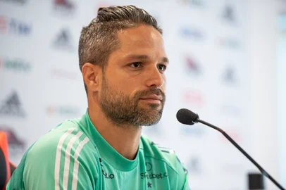 Diego, Flamengo