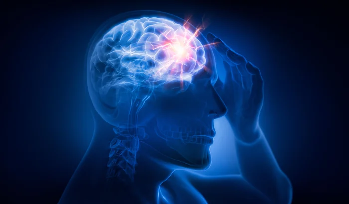 peterschreiber.media / adobe.stock.com