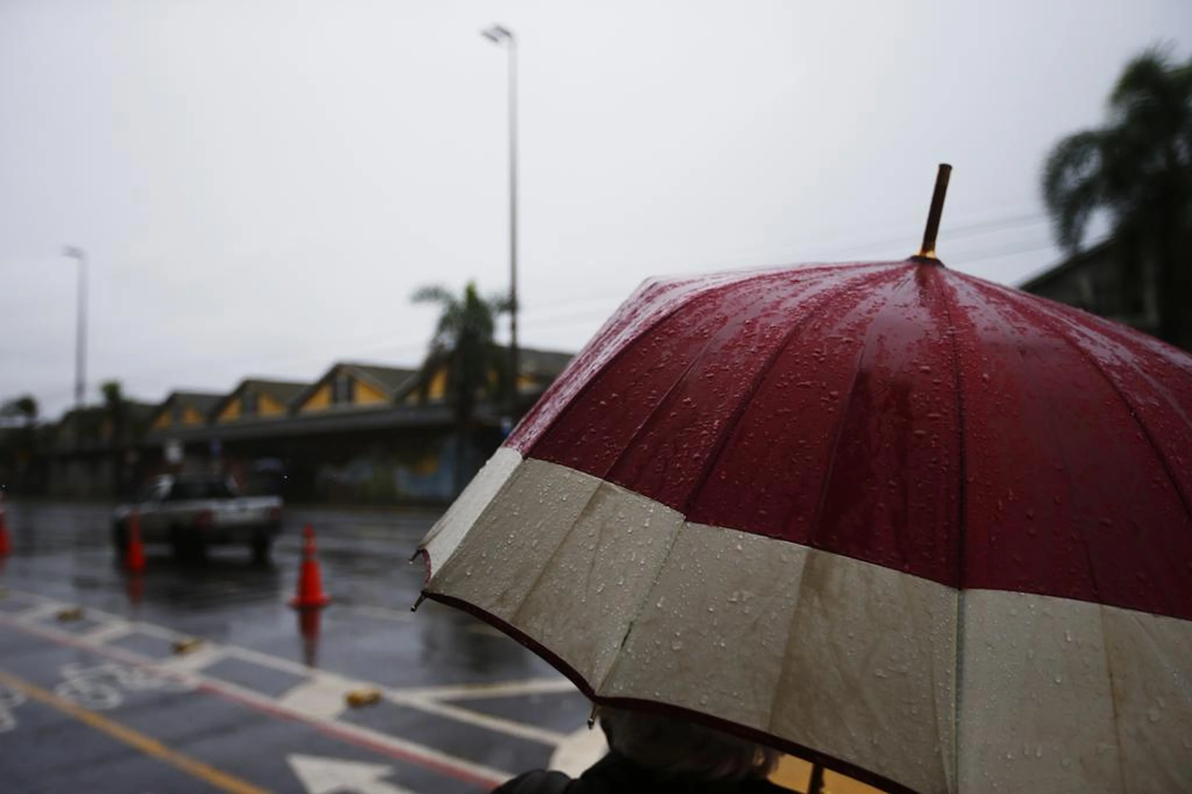 Félix Zucco/Agencia RBS