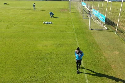 Grêmio, vina