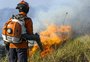 Rodrigo Lopes: Pantanal em chamas, uma vergonha internacional