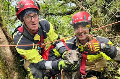 Cachorro é resgatado após descer 110 metros abaixo do Cânion Fortaleza, em Cambará do Sul<!-- NICAID(15993202) -->
