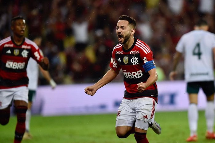 Marcelo Cortes / Flamengo/Divulgação