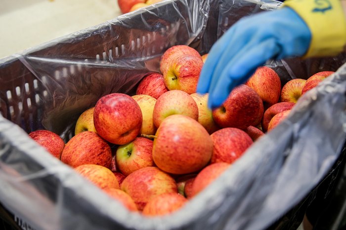 Neimar De Cesero / Agencia RBS