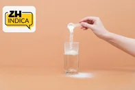 Colágeno ZH Indica<!-- NICAID(16162838) -->