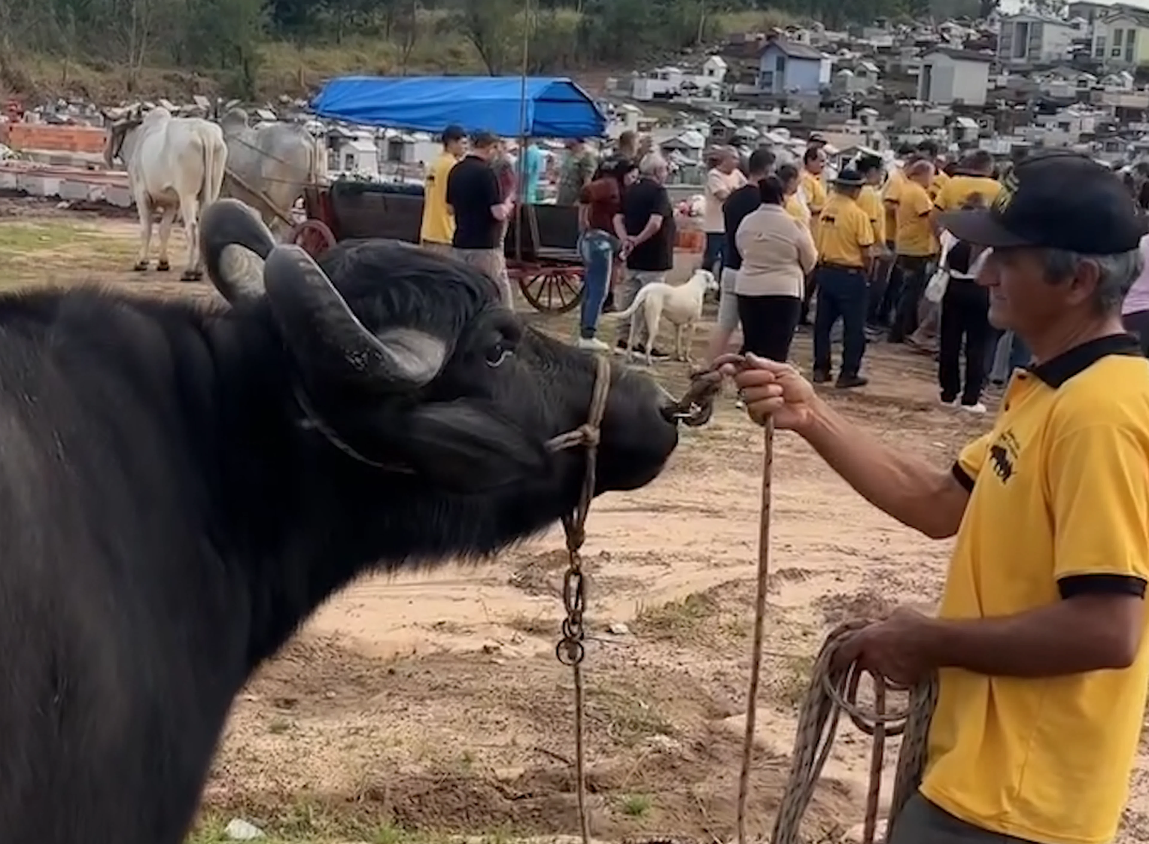 Imagens cedidas/Felipe Laux/Jornal Repercussão