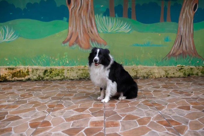 Anselmo Cunha / Agencia RBS