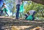 Caminhando ou remando, mutirão recolhe resíduos da orla do Guaíba na zona sul de Porto Alegre