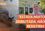 Cervo encontrado em Porto Alegre precisou ser submetido à eutanásia