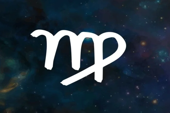 Cro Magnon / Shutterstock | Portal EdiCase