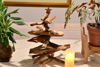 árvore de natal , decoração , galhos, pinheiro<!-- NICAID(15934502) -->
