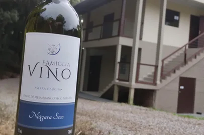 Formalizada há apenas cinco meses, a Vinícola Colonial Seu Zé está entre os premiados do Concurso Brasileiro de Vinhos de Mesa. Primeira cantina colonial do distrito de Vila Seca, ela conquistou medalha de ouro com o rótulo Famiglia Vino Niágara 2025.<!-- NICAID(16034488) -->