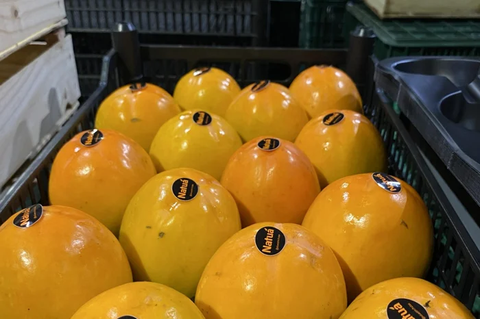 Silvestrin Frutas / Divulgação Silvestrin Frutas / Divulgação