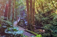 Garden Park Gramado<!-- NICAID(16037470) -->