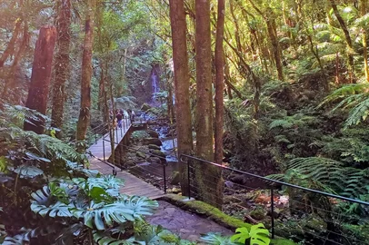 Garden Park Gramado<!-- NICAID(16037470) -->
