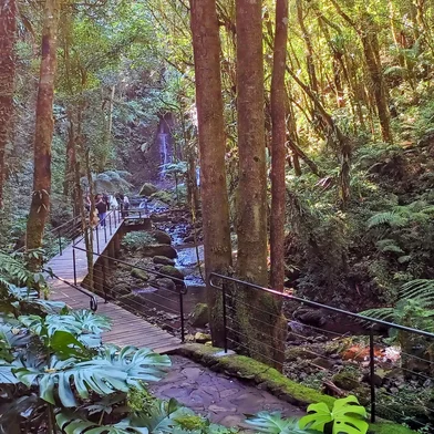 Garden Park Gramado<!-- NICAID(16037470) -->