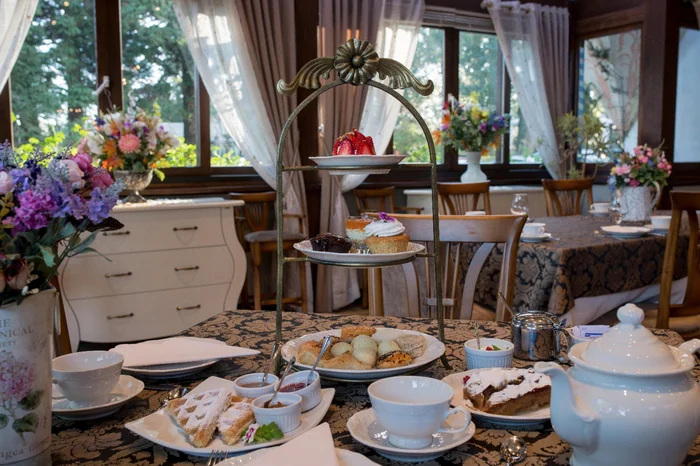 Divulgação / Hotel Ritta Höppner Divulgação / Hotel Ritta Höppner