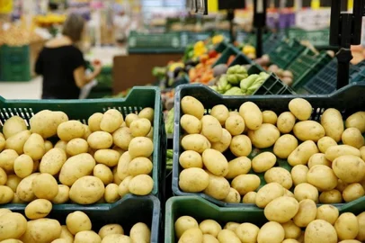 batata<!-- NICAID(15257683) -->