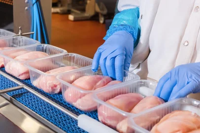 Asgav / Divulgação Exportações gaúchas de carne de frango em agosto registram alta de 3,4%<!-- NICAID(15550432) -->