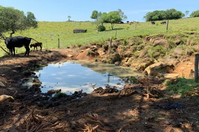 Estiagem causa danos financeiros em Caxias do Sul.<!-- NICAID(15011122) -->