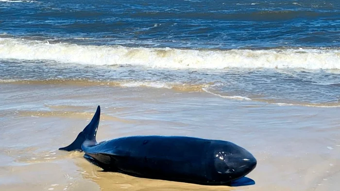 Juares Matias/1ºBABM/Divulgação Juares Matias/1ºBABM/Divulgação