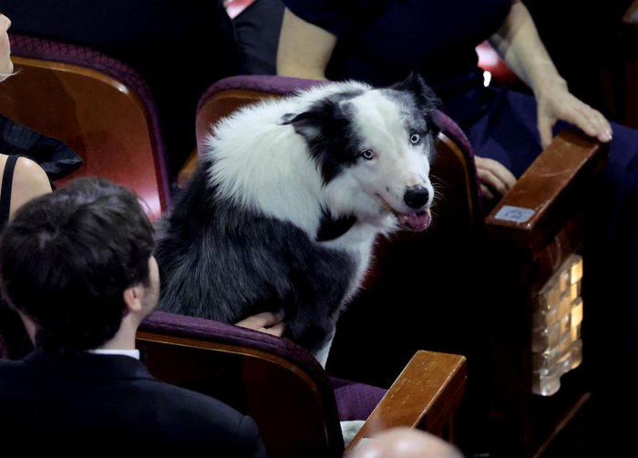 KEVIN WINTER / GETTY IMAGES NORTH AMERICA via AFP