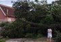 Queda de árvore bloqueia entrada de casa e deixa moradores trancados por mais de 20 horas em Porto Alegre