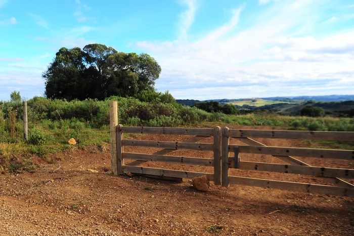 Porthus Junior / Agencia RBS