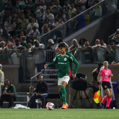 Pelotense Larson, atleta do Palmeiras<!-- NICAID(16206713) -->