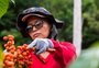 Giane Guerra: 
Plataforma gaúcha será usada por produtores de guaraná para a Coca-Cola