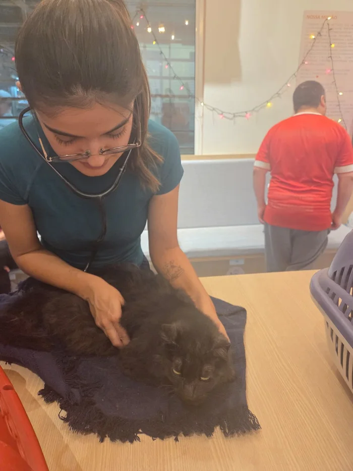 Pâmela Matge / Agência RBS Pâmela Matge / Agência RBS