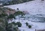 Cidades da Serra amanhecem cobertas de geada e com temperaturas negativas neste domingo