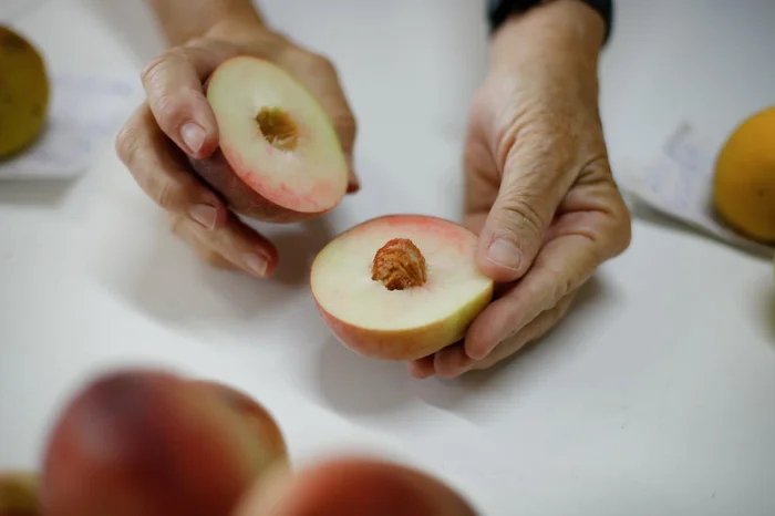 Anselmo Cunha / Agencia RBS Anselmo Cunha / Agencia RBS