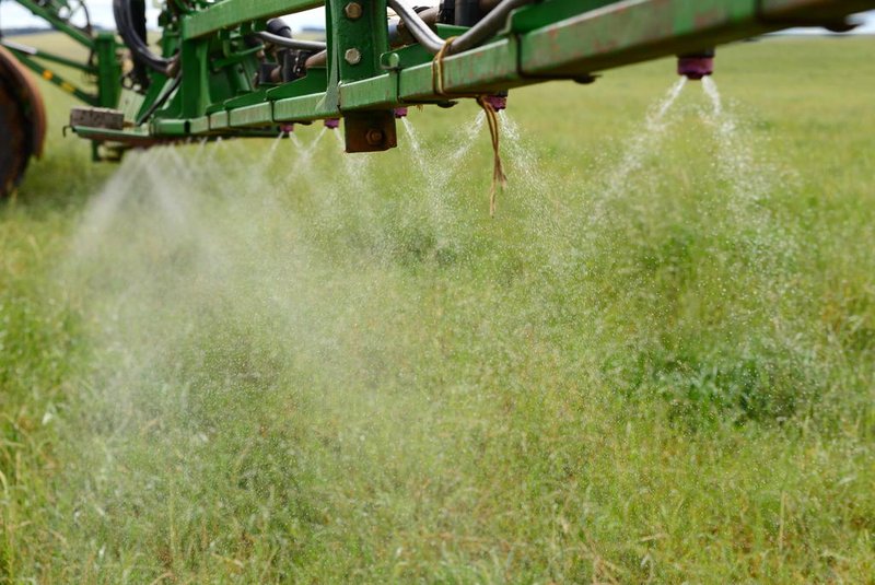 PASSO FUNDO, RS, BRASIL, 04/09/2018: Glifosato é usado na preparação do solo para o plantio de soja pelo sistema de cultivo direto.(FOTO: Diogo Zanatta / Especial )<!-- NICAID(13724645) -->