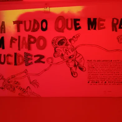 Obra de Randolpho Lamonier, da Bienal do Mercosul - Casa de Cultura Mario Quintana<!-- NICAID(16016417) -->