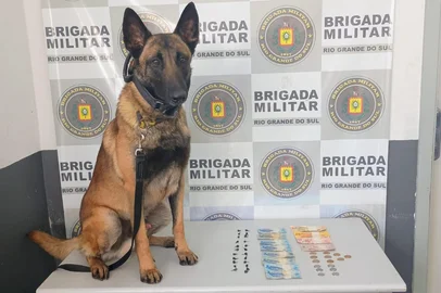 Com auxílio de cão farejador, Brigada Militar apreende 23 porções de crack e prende homem por tráfico, em Caxias do Sul<!-- NICAID(16122449) -->
