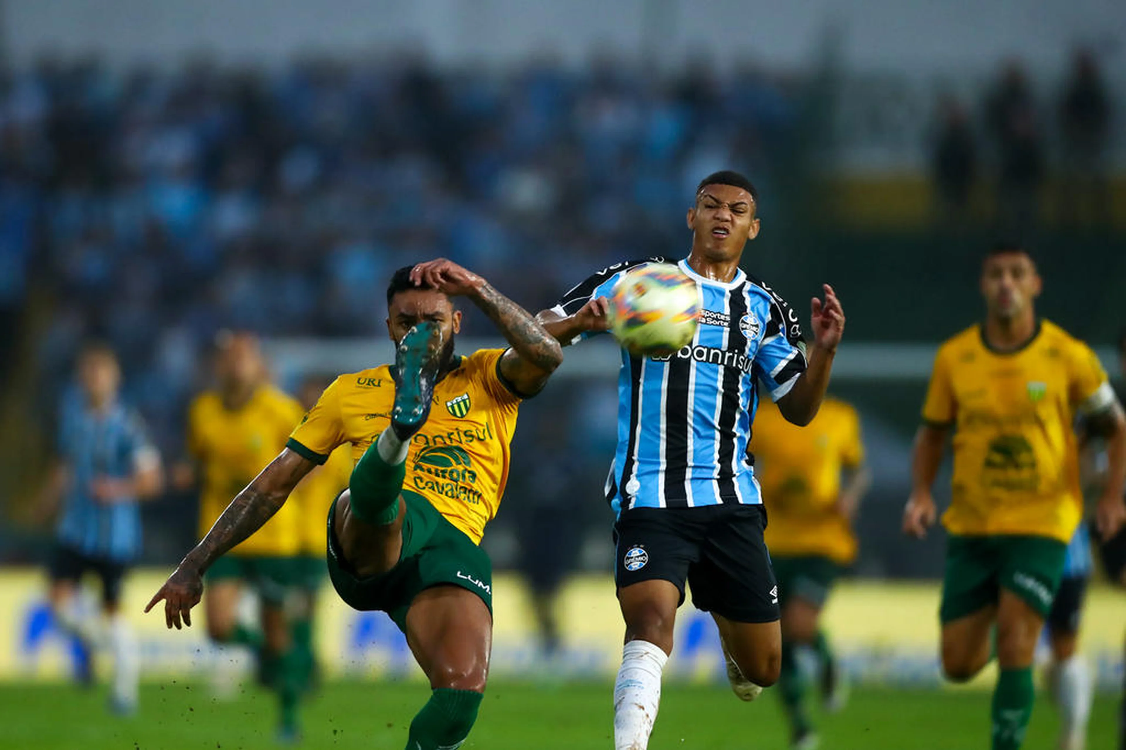 Guilherme Testa/Grêmio FBPA/Divulgação
