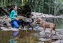 Com expectativa de movimentar até R$ 1 milhão em negócios, Caxias do Sul recebe o 1º Pet Serra Summit no final de semana
