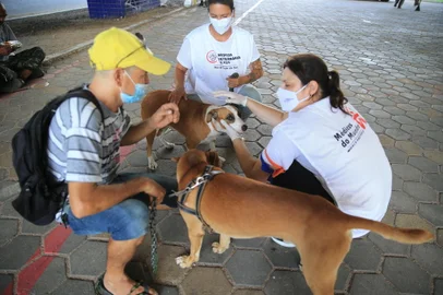 PORTO ALEGRE,RS,BRASIL.2022,02,05,Grupo de volutários produzem alimentos, e entregam marmitas para pessoas em situação de rua,fazem cortes de cabelo, e um outro grupo de médicos veterinários examinam e medicam os pets das pessoas em situação de rua.(RONALDO BERNARDI/AGENCIA RBS).<!-- NICAID(15008352) -->