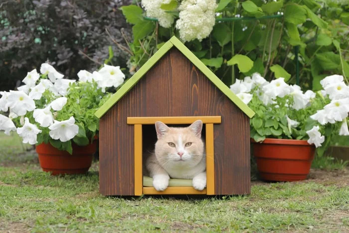 vubaz / Shutterstock</div>
<div> | Portal EdiCase