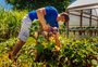Feira ecológica incentiva mudança de hábitos de produção e consumo em Arroio Grande