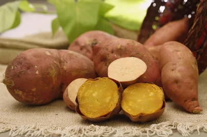 batata doce<!-- NICAID(16251259) -->