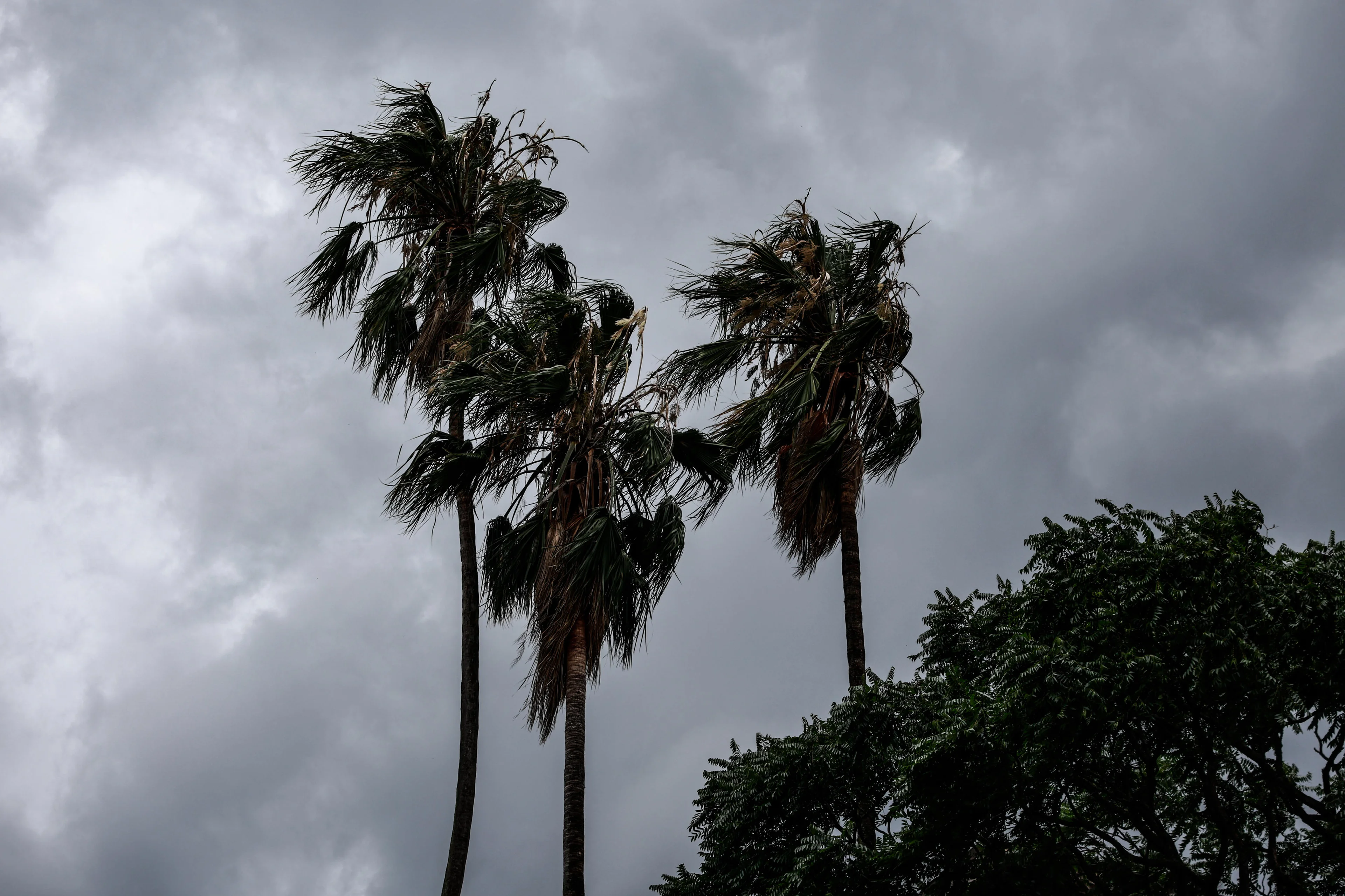 André Ávila/Agencia RBS