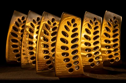 9º Festival Santa Cruz de Cinema, troféus<!-- NICAID(16289235) -->