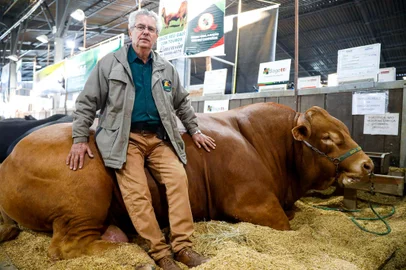 ESTEIO, RS, BRASIL, 28.08.2023: EXPOINTER 2023 / AGRONEGÓCIO / EDGAR FERREIRA LIMA / TOURO -  O pecuarista Edgar Ferreira Lima, o Cacaio, presidente da Associação Nacional dos Criadores de Limousin ao lado do Touro mais pesado da 46ª Expointer ultrapassando 1,4 mil quilos. Foto: Camila Hermes/Agencia RBS<!-- NICAID(15524317) -->